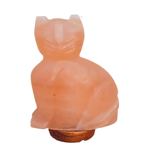 Cat Himalayan Salt Lamp