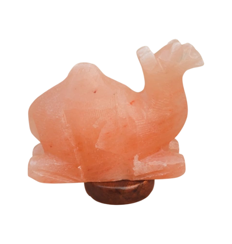 Camel Himalayan Salt Lamp