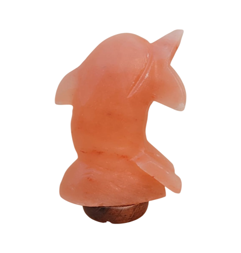 Dolphin Himalayan Salt Lamp