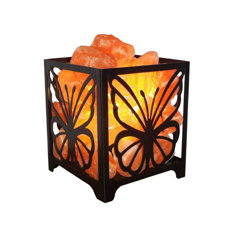 Iron Basket Butterfly With Salt Chunks