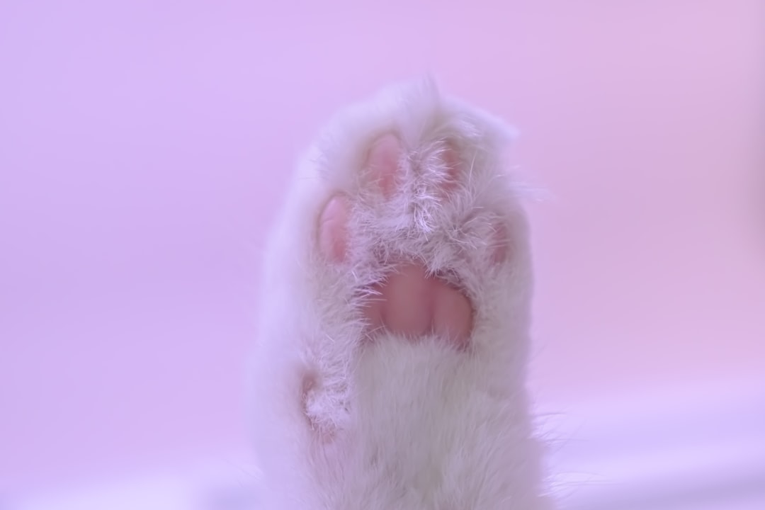 pink cat eye nail art pastel