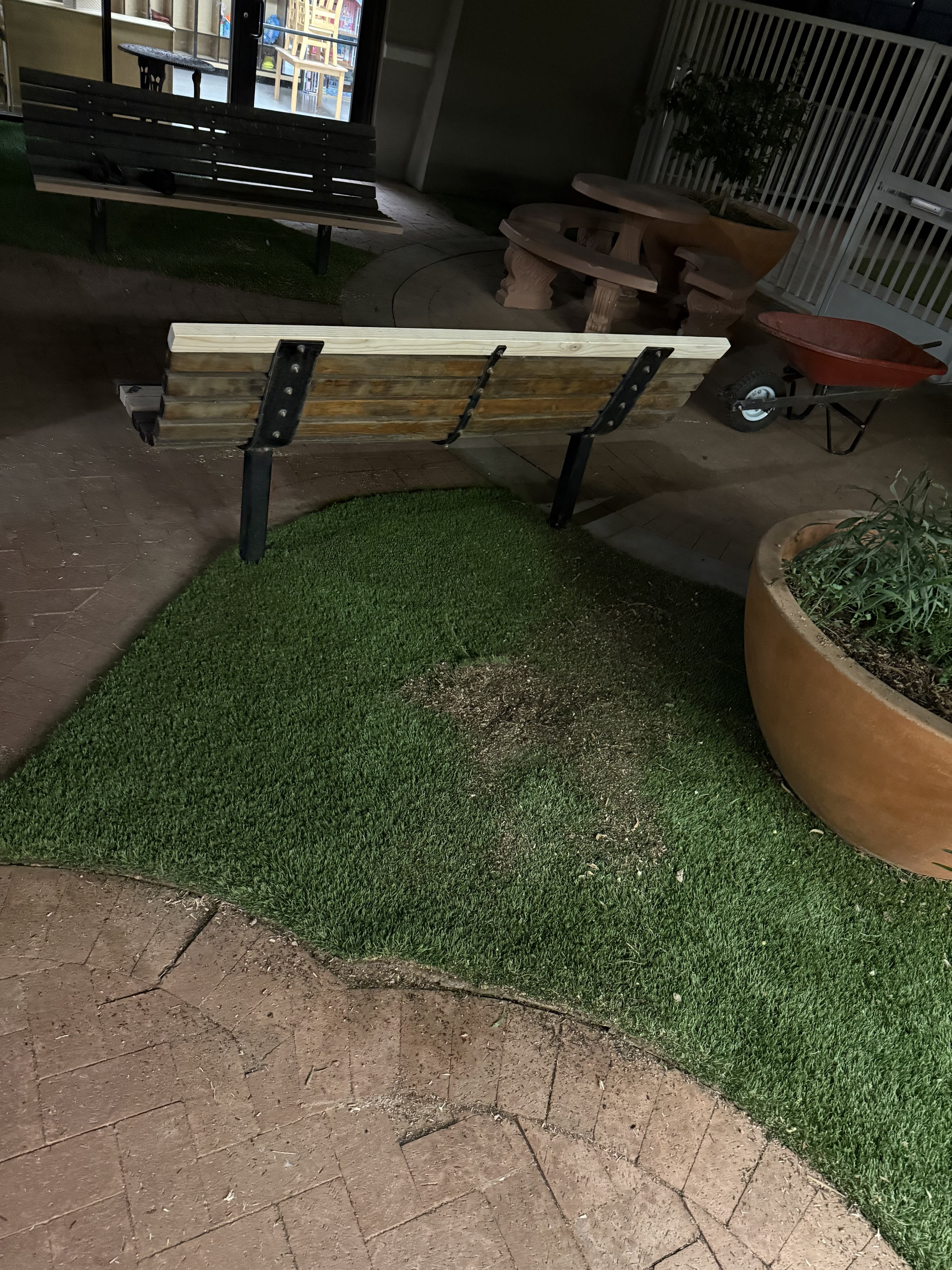 Clean yard after stump removal in Phoenix Arizona