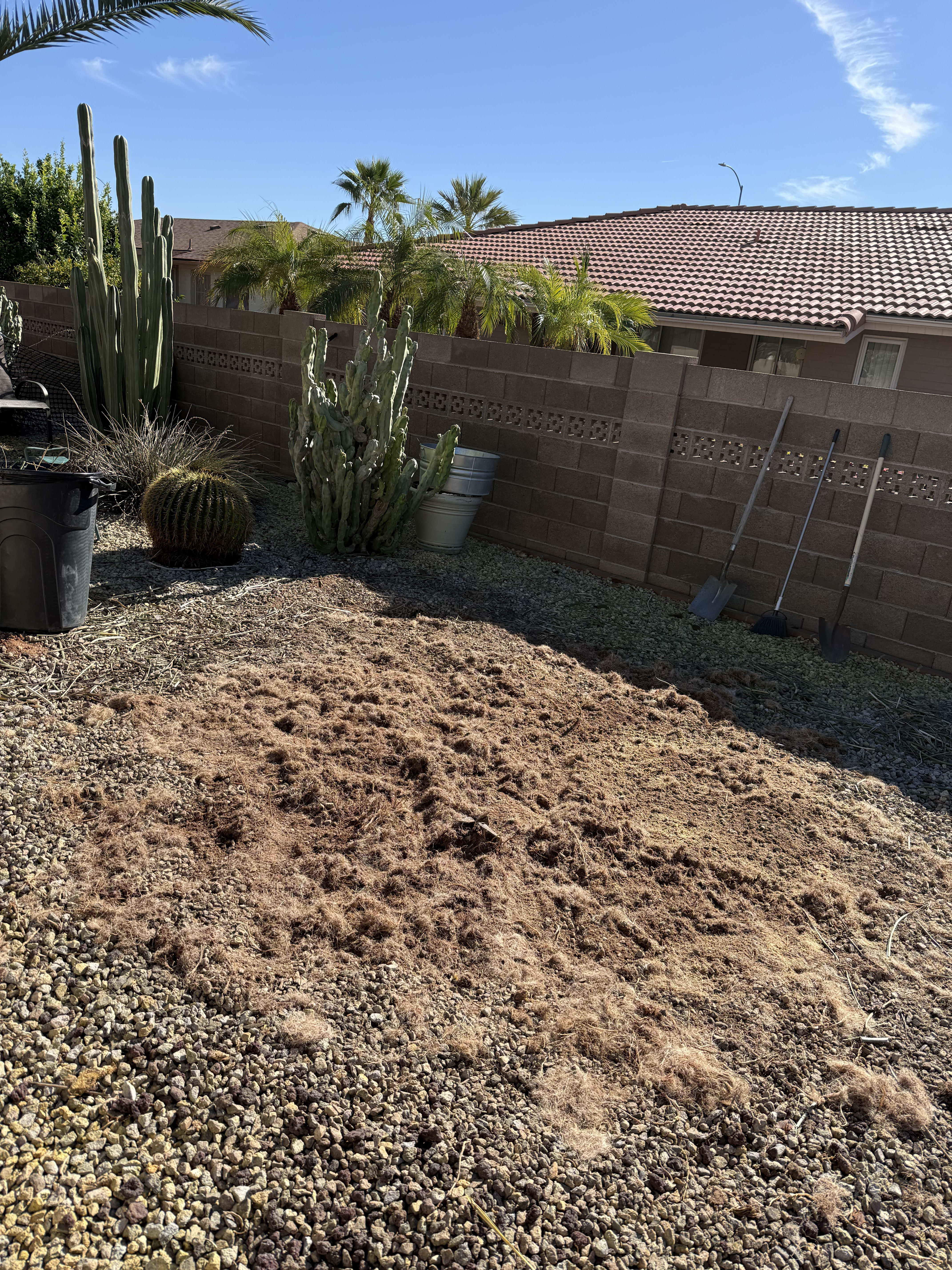 Beautiful Arizona landscape after professional stump removal