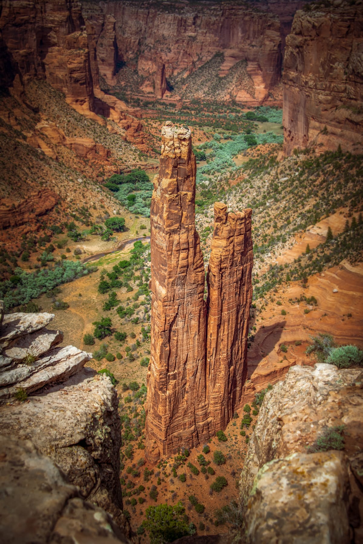 Spider Rock From the Rim fine art print - desert & canyon photography by Southbound Studios