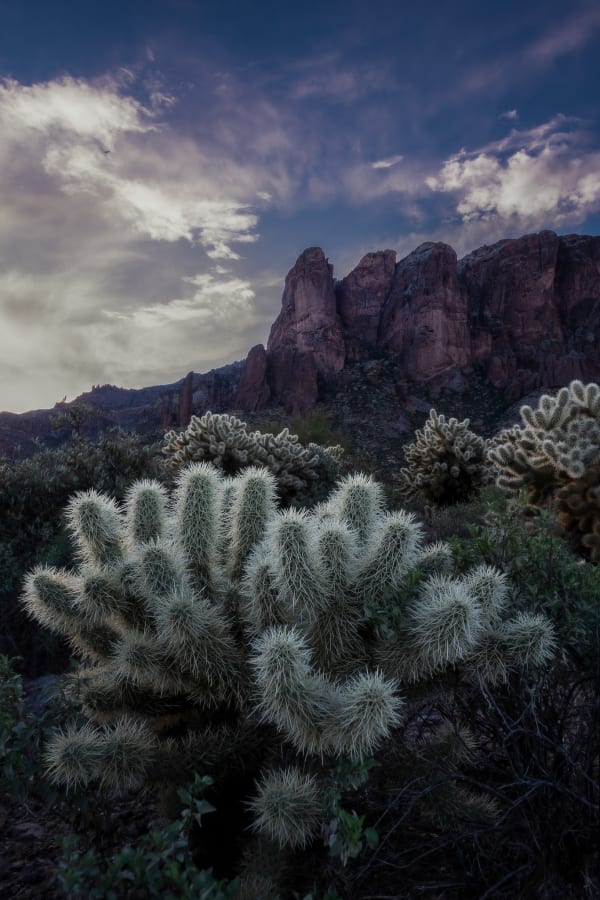 Cholla Garden and the Superstitions — Fine Art Print by Southbound Studios