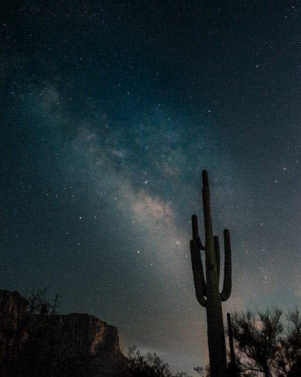 Saguaro Beneath the Milky Way — Fine Art Print by Southbound Studios