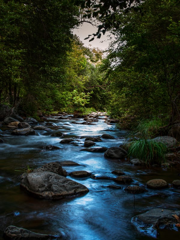 Oak Creek Canyon Blue Hour — Fine Art Print by Southbound Studios