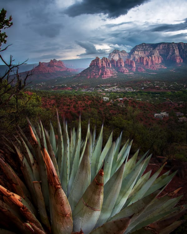 Agave and Red Rocks Before the Storm — Fine Art Print by Southbound Studios