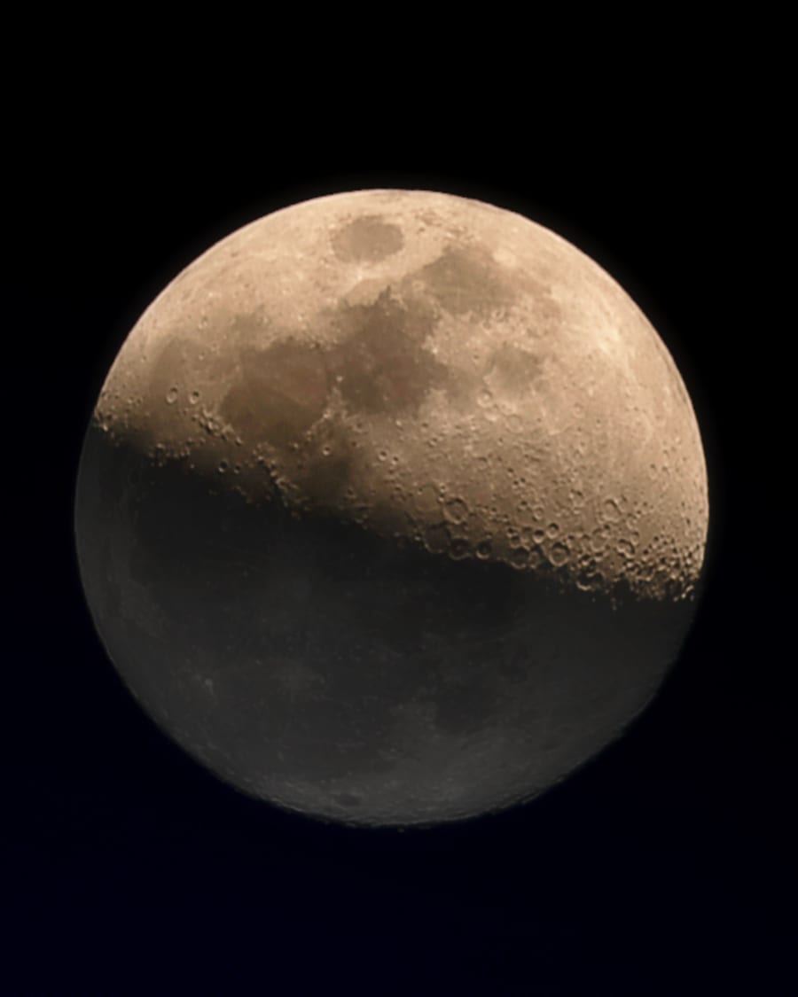 Gibbous Moon Portrait — Framed Print on gallery wall