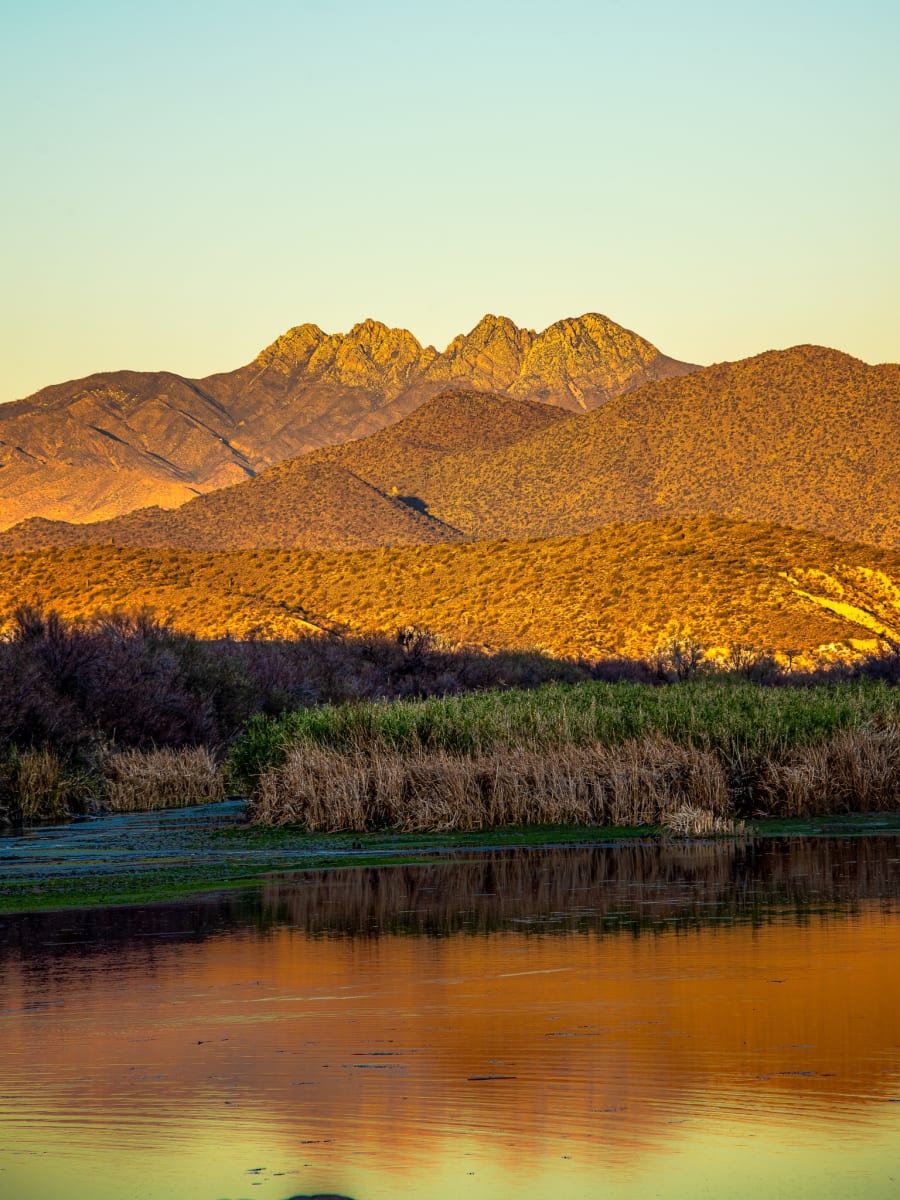 Four Peaks Golden Reflection — Framed Print on gallery wall