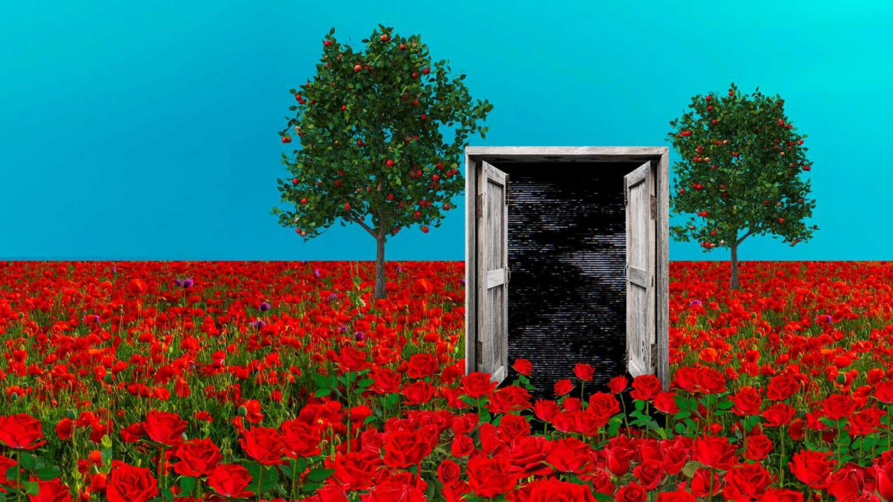 Uma porta de madeira aberta no meio de um campo de rosas vermelhas, entre duas macieiras, sob um céu azul