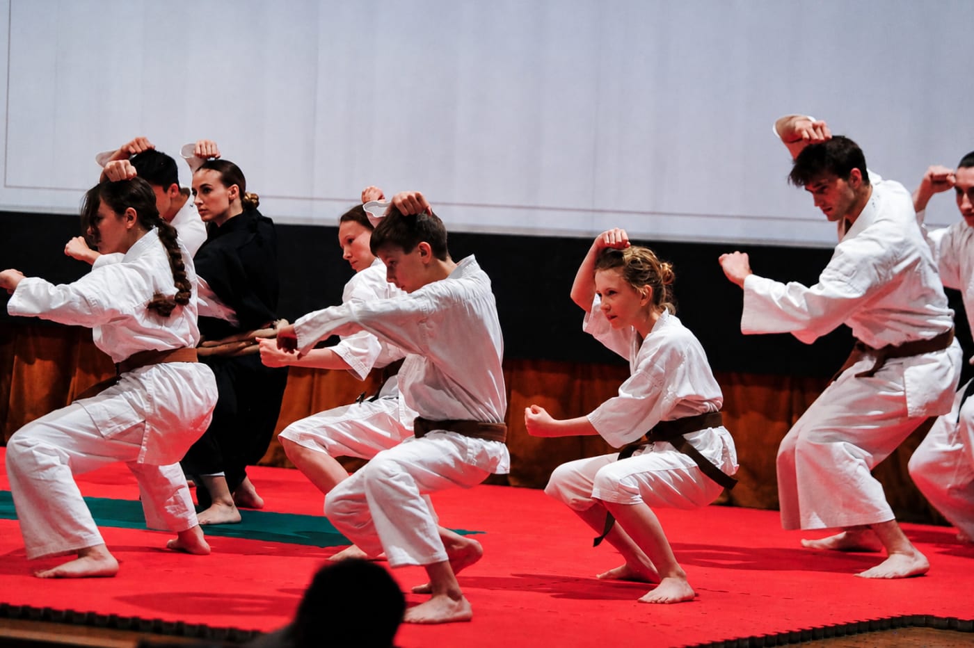 Pokaz Shorinji Kempo na scenie gali