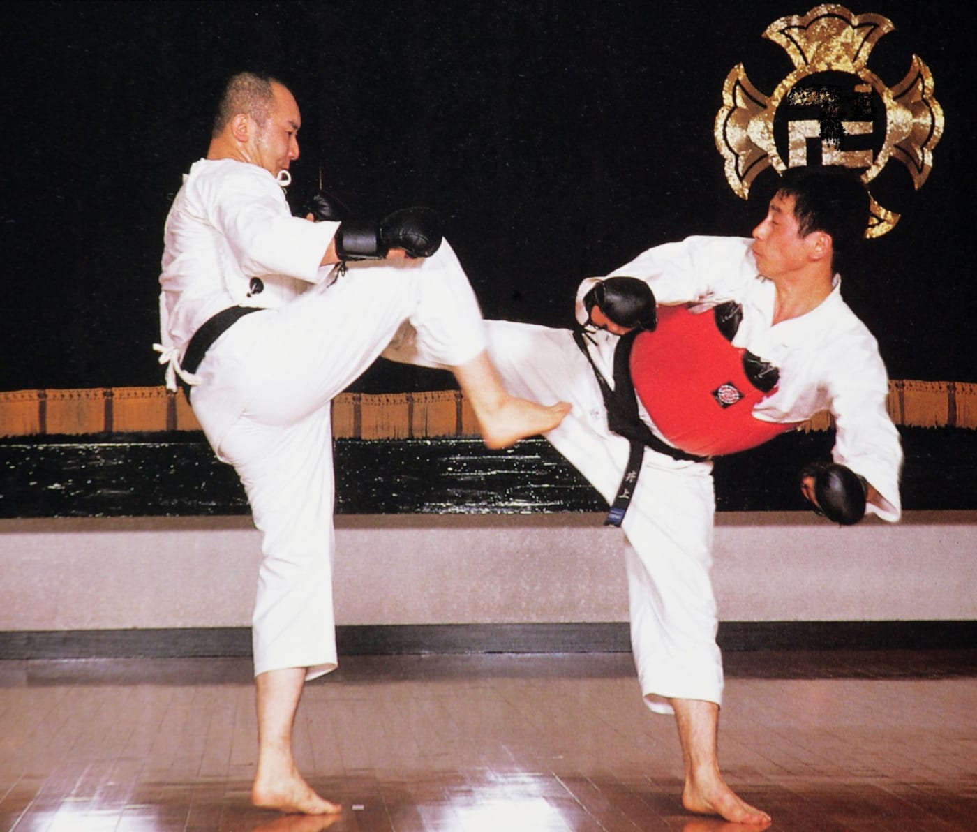 Inoue Hiromu Sensei