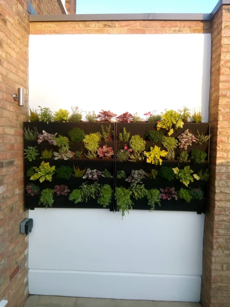 Dynamic Property Group Portfolio Image - Living wall