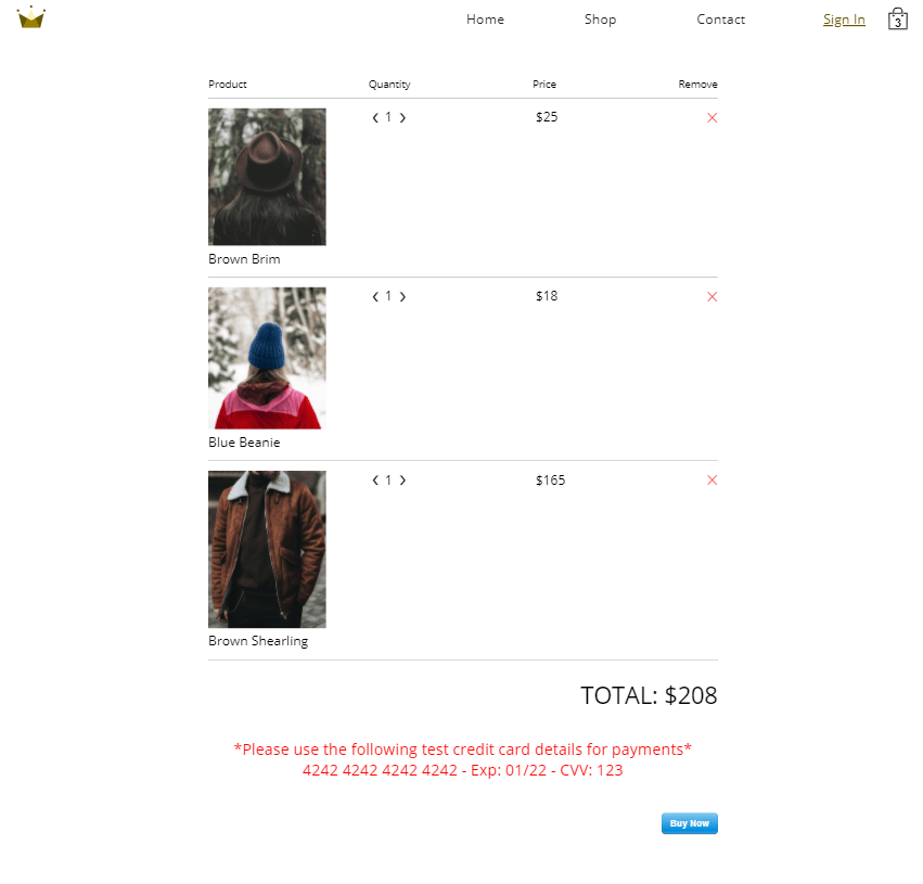 Screenshot of the checkout page.