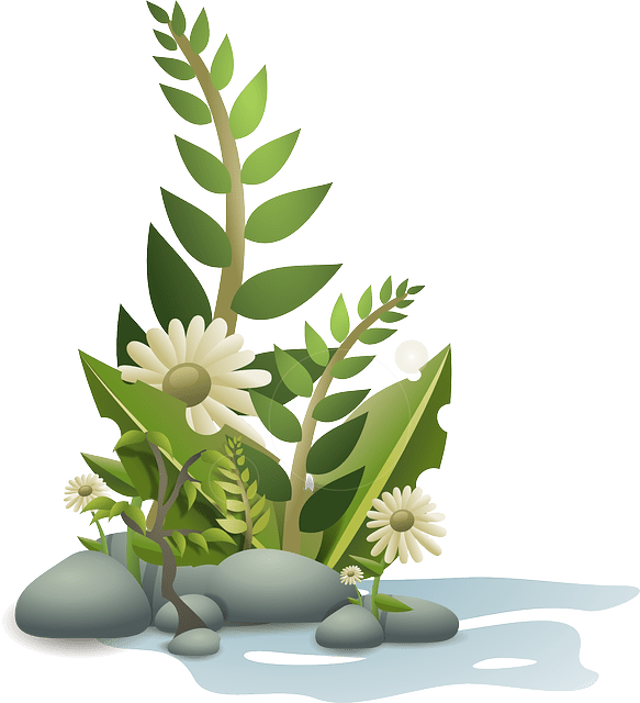 flowers-34592_640