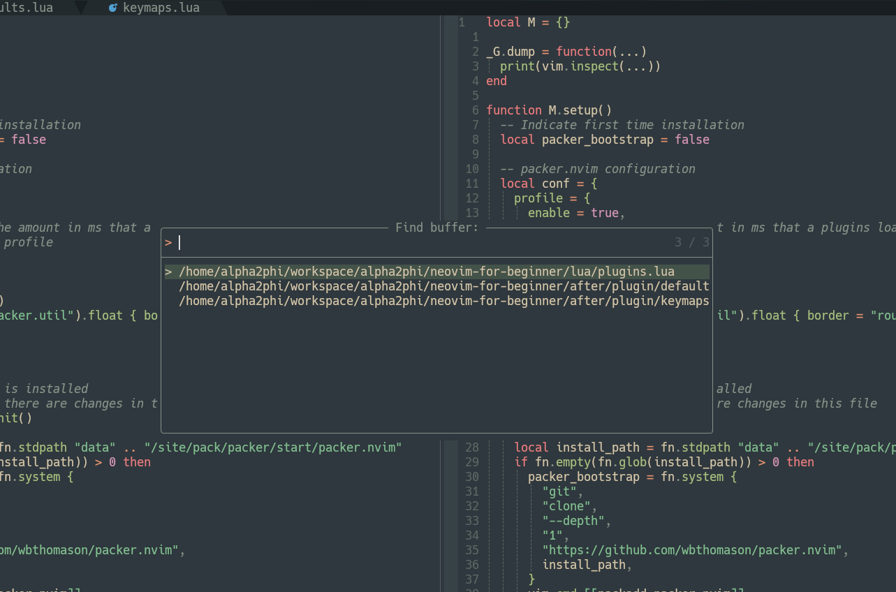 Neovim Neovim