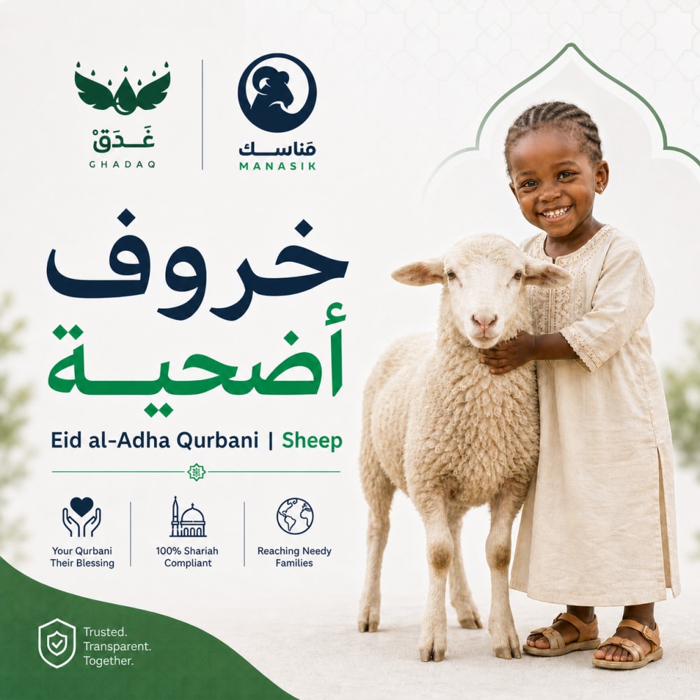 الأضاحي | خَــروف