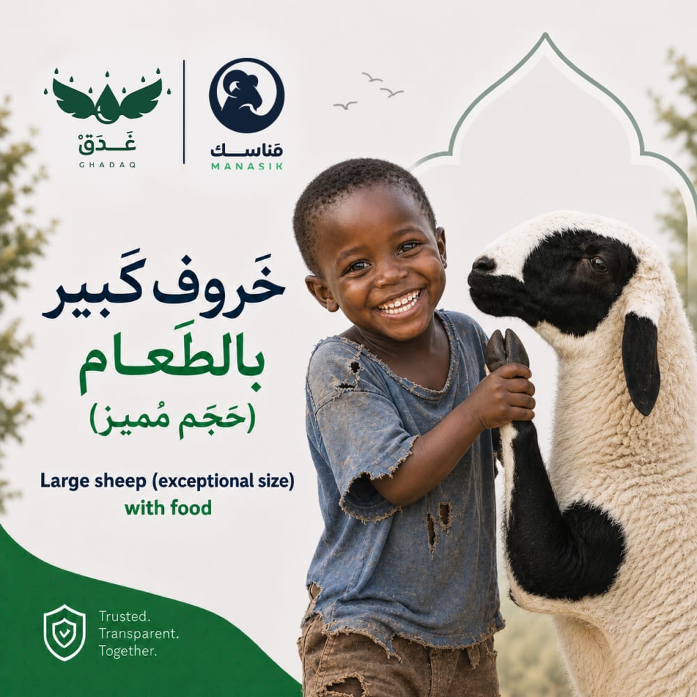 خَروف كَبير بالطَعام (حَجم مُميز)