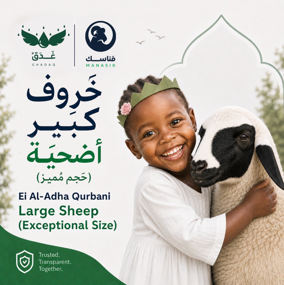 الأضاحي | خَروف كَبير (حَجم مُميز)