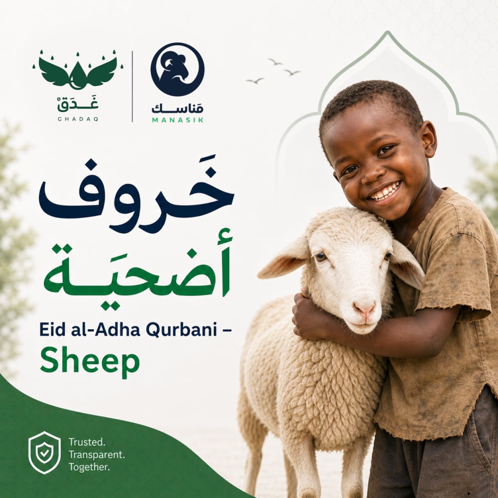 الأضاحي | خَــروف