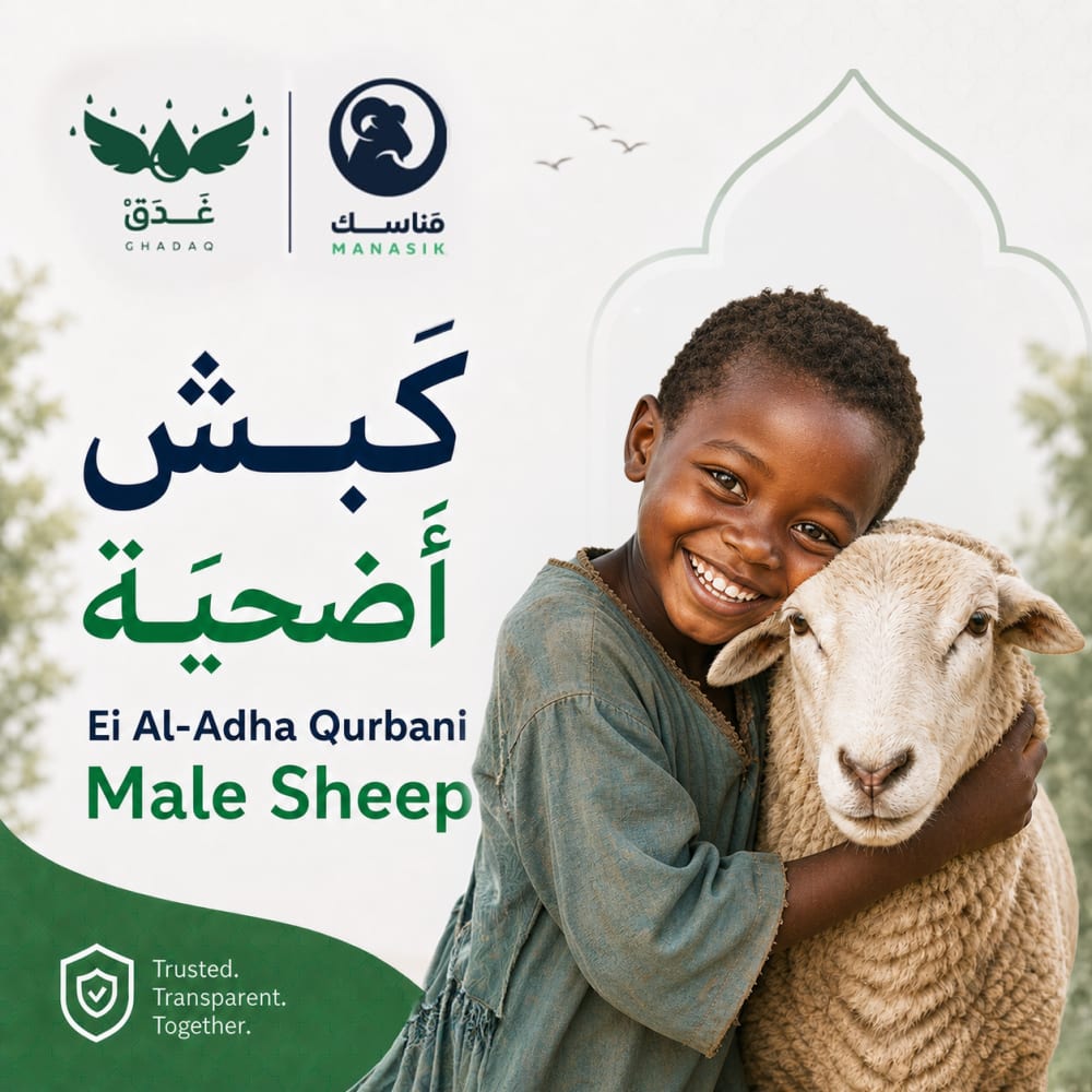 الأضاحي | كَبــــش