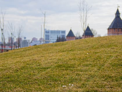 В Туле потеплеет до аномальных +19 градусов 12 апреля