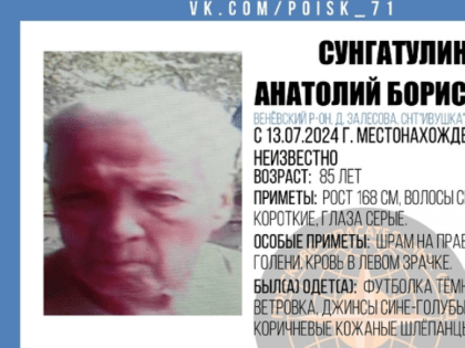 В Тульской области пропал 85-летний пенсионер