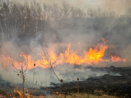 За сутки в Тульской области произошли пять техногенных пожаров