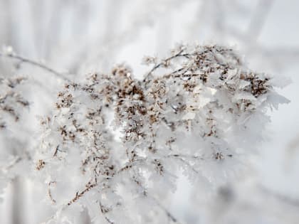 Народные приметы 28 января: почему нельзя пересчитывать монеты в Павлов день