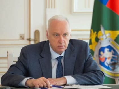 Глава СКР поручил расследовать нападение собак на ребенка в Богородицке