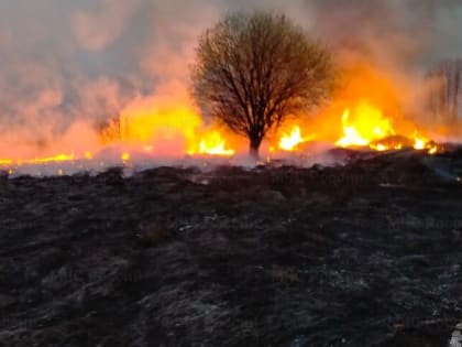 Тульская область: два пожара и семь аварий за сутки