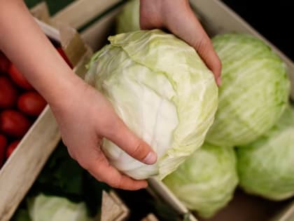 За полгода капуста в Тульской области подорожала на 171,1%