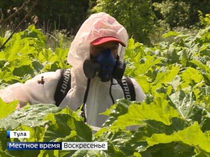 Надежда Школкина выступила соавтором законопроекта по борьбе с борщевиком