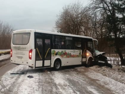 Прокуратора Тульской области возьмет на контроль выяснение обстоятельств смертельного ДТП в Алексине
