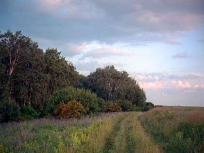 Жителей и гостей Тульской области приглашают на лекцию о болотных экосистемах Куликова поля