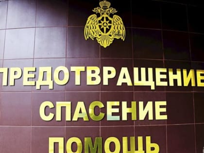 В Тульской области ожидается усиление ветра