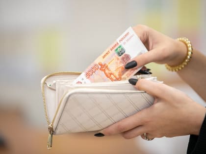 За кражу кошелька алексинец отработает 200 часов