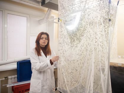 Хотела быть балериной, но стала ученым: тульский биолог рассказала о жизни и работе в науке