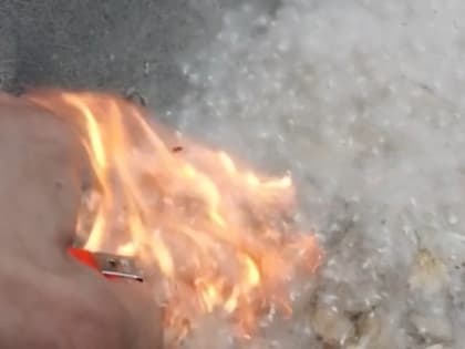 Неправильное обращение с тополиным пухом может обойтись в 120 тысяч рублей