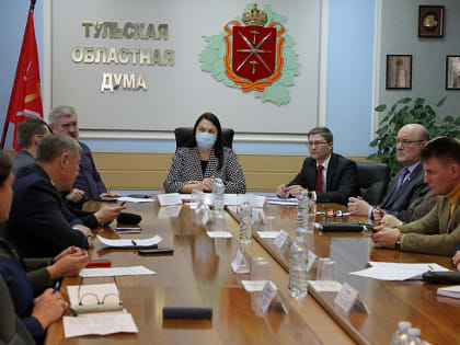 Тульские депутаты предложили расширить категорию лиц для признания семьи многодетной