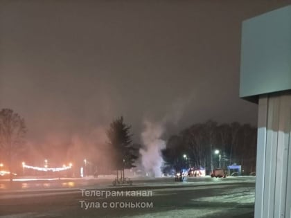 В Белоусовском парке Тулы загорелась палатка
