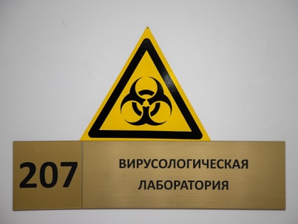 В Роспотребнадзоре заявили об обнаружении в России субварианта омикрон-штамма BA.4