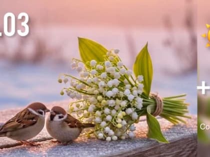 Утренний дайджест ИА «За Новомосковск»: удар для метеозависимых, аномальное тепло и 100 — летний юбилей