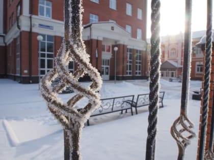 Прогноз погоды в Туле на 8 января