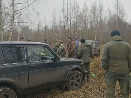 В Тульской области задержаны 12 браконьеров с двумя убитыми лосями