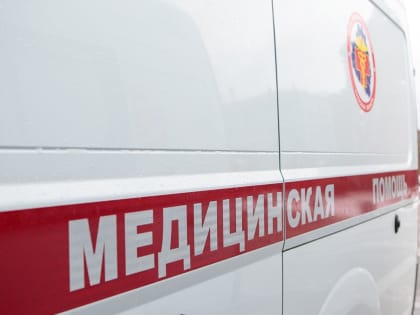 Собака покусала 14-летнюю девочку в Кимовске