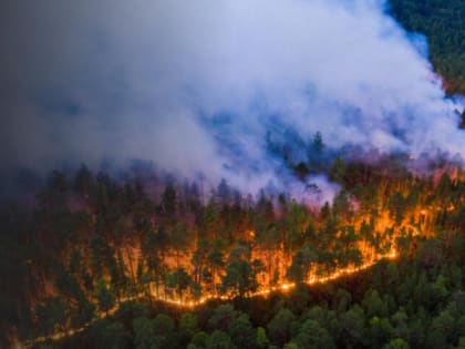 Пожарная опасность в регионе: будьте осторожны!