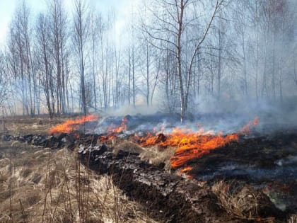 Важная информация!