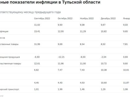 Инфляция в Тульской области оказалась ниже уровня по ЦФО и России